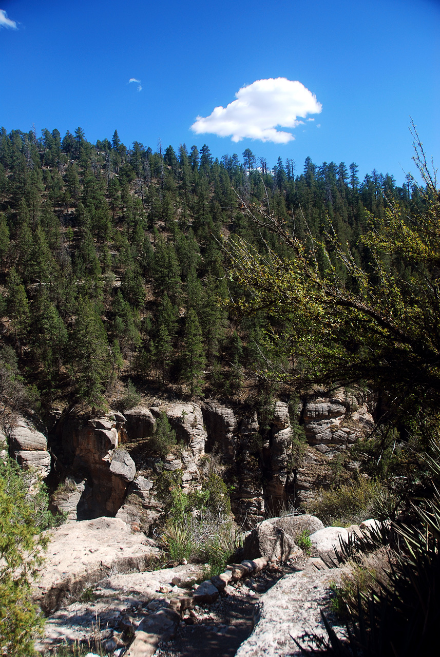 2013-05-12, 051, Walnut Canyon Nat Mon, AZ