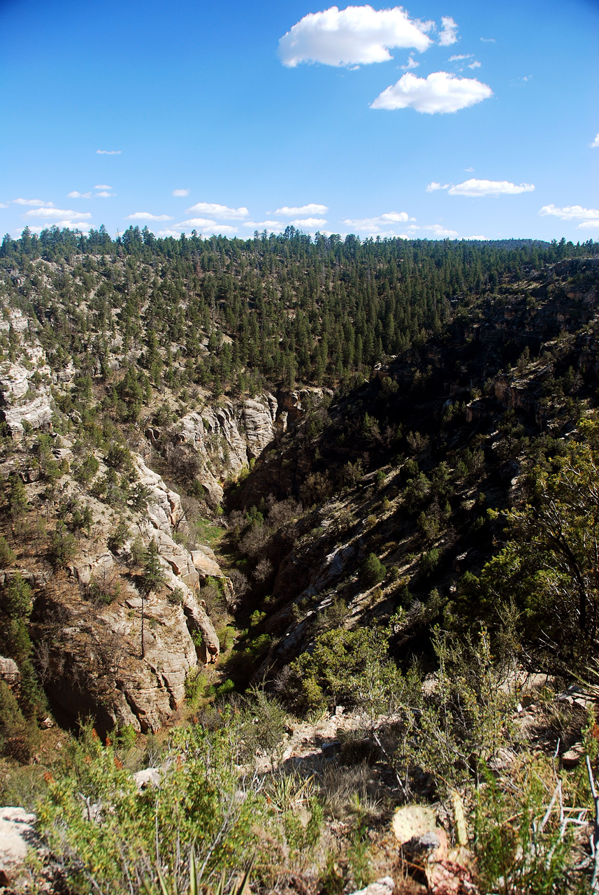 2013-05-12, 073, Walnut Canyon Nat Mon, AZ