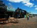 2013-05-11, 015, Williams Train Day