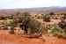 2013-05-18, 089, Windows Trail, Arches NP, UT