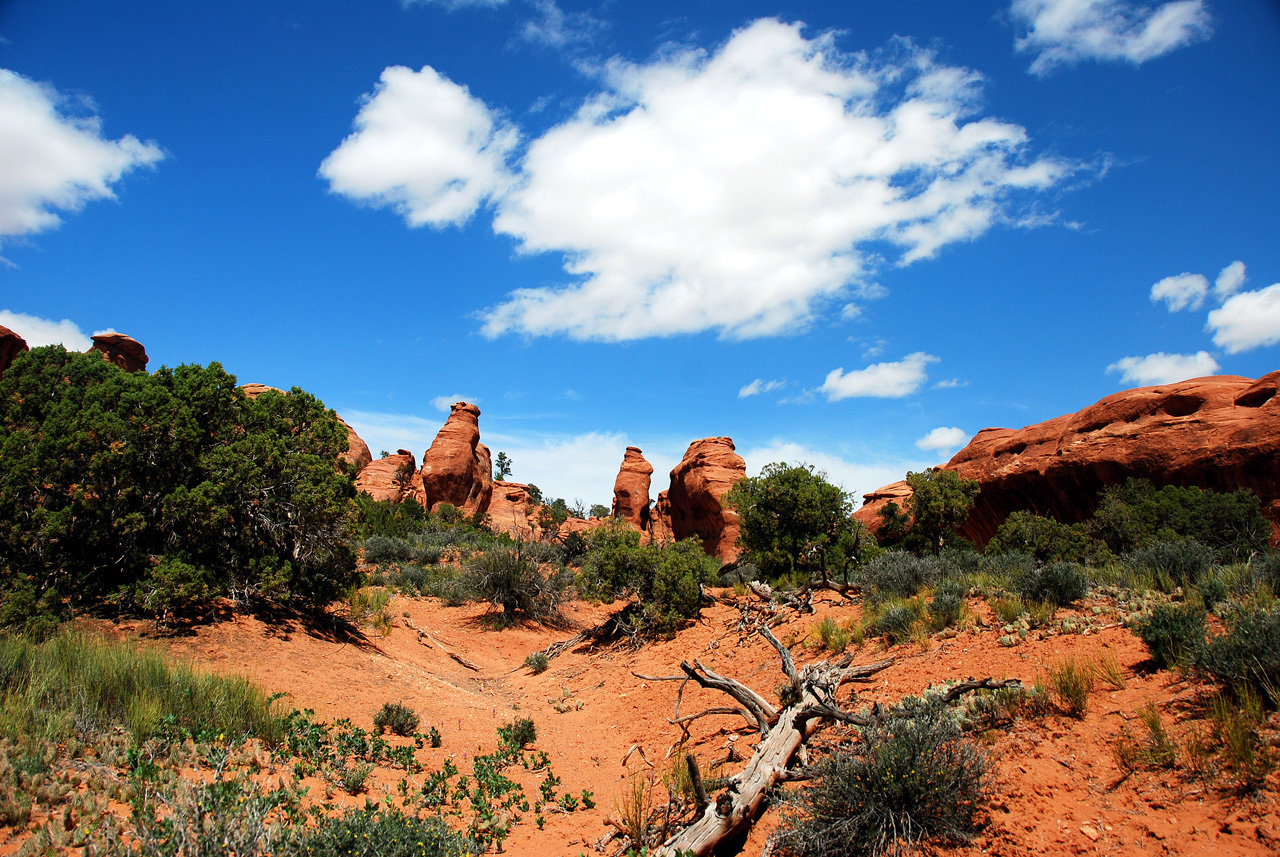 2013-05-18, 039, Broken Arch Trail, Arches NP, UT