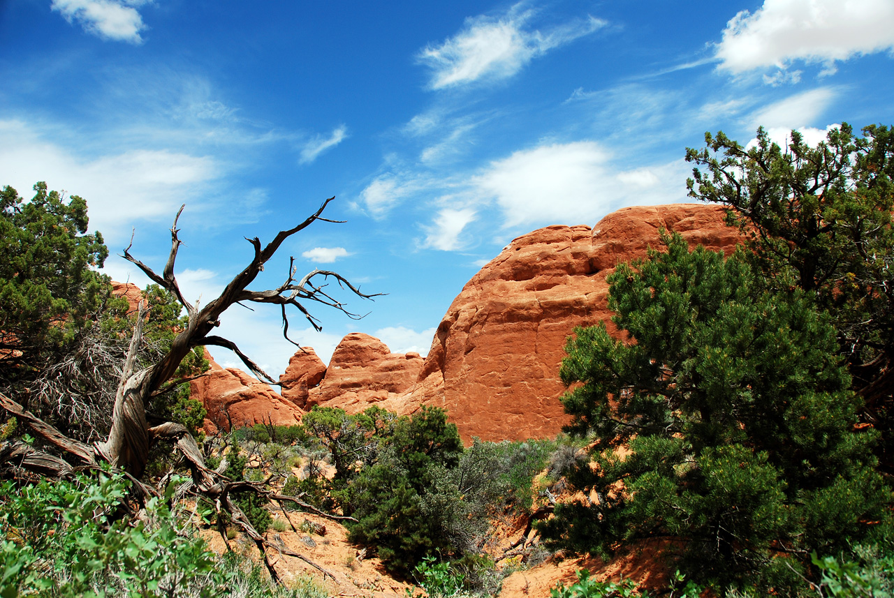 2013-05-18, 070, Devils Garden Trail, Arches NP, UT