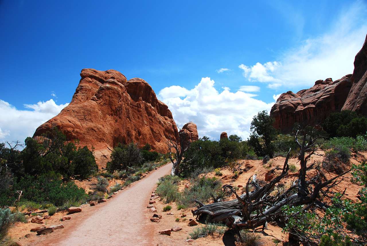 2013-05-18, 093, Devils Garden Trail, Arches NP, UT