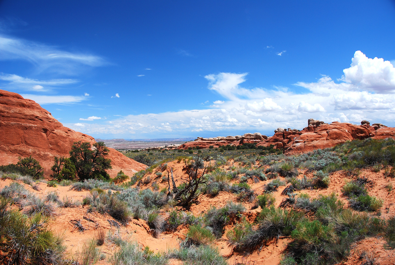 2013-05-18, 099, Devils Garden Trail, Arches NP, UT