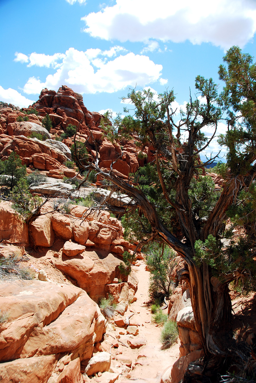 2013-05-19, 015, Fiery Furnace, Arches NP, UT