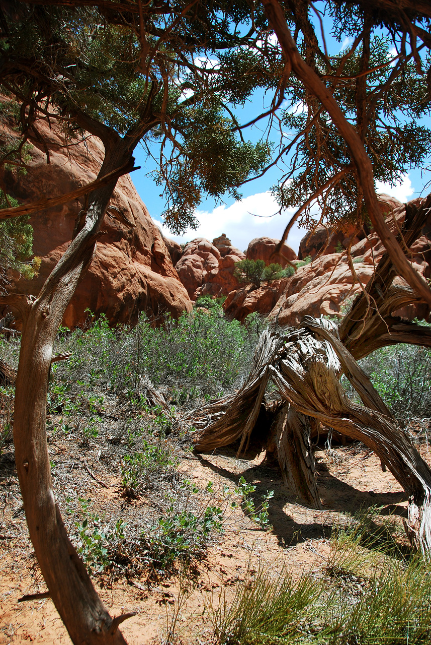2013-05-19, 044, Fiery Furnace, Arches NP, UT