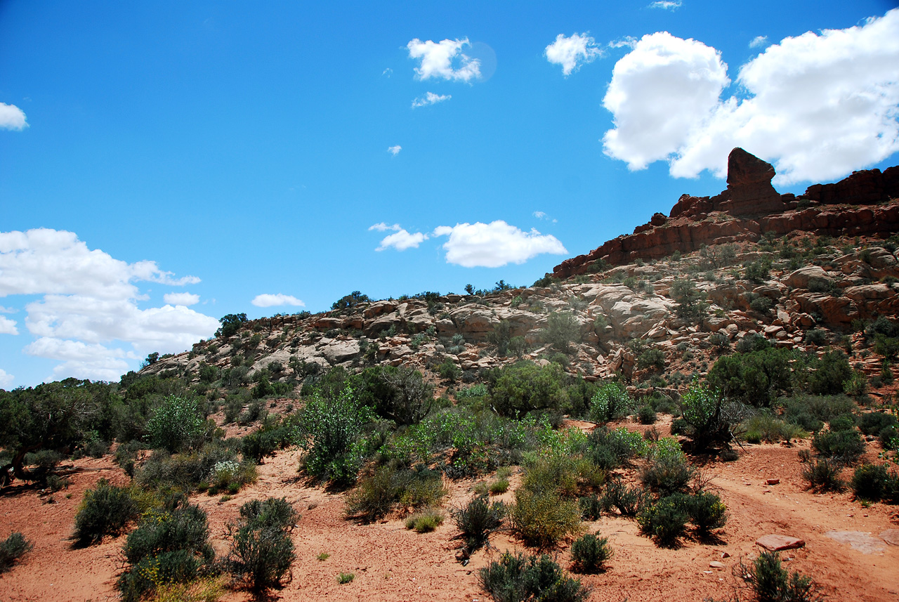 2013-05-19, 076, Tower Arch Trail, Arches NP, UT