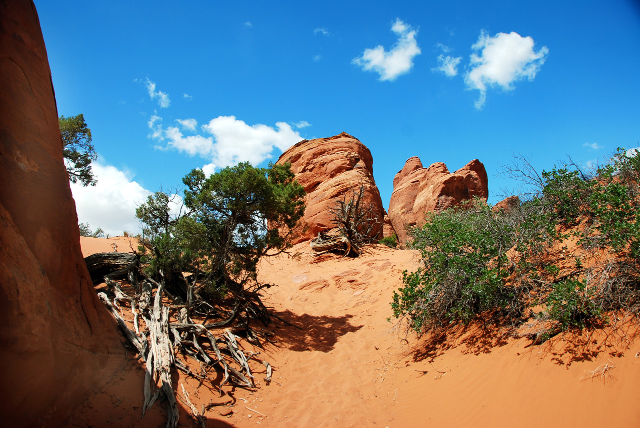 2013-05-19, 097, Tower Arch Trail, Arches NP, UT