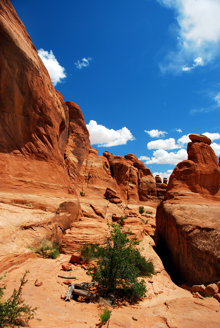 2013-05-19, 115, Tower Arch Trail, Arches NP, UT