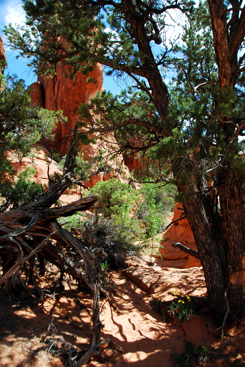 2013-05-19, 120, Tower Arch Trail, Arches NP, UT