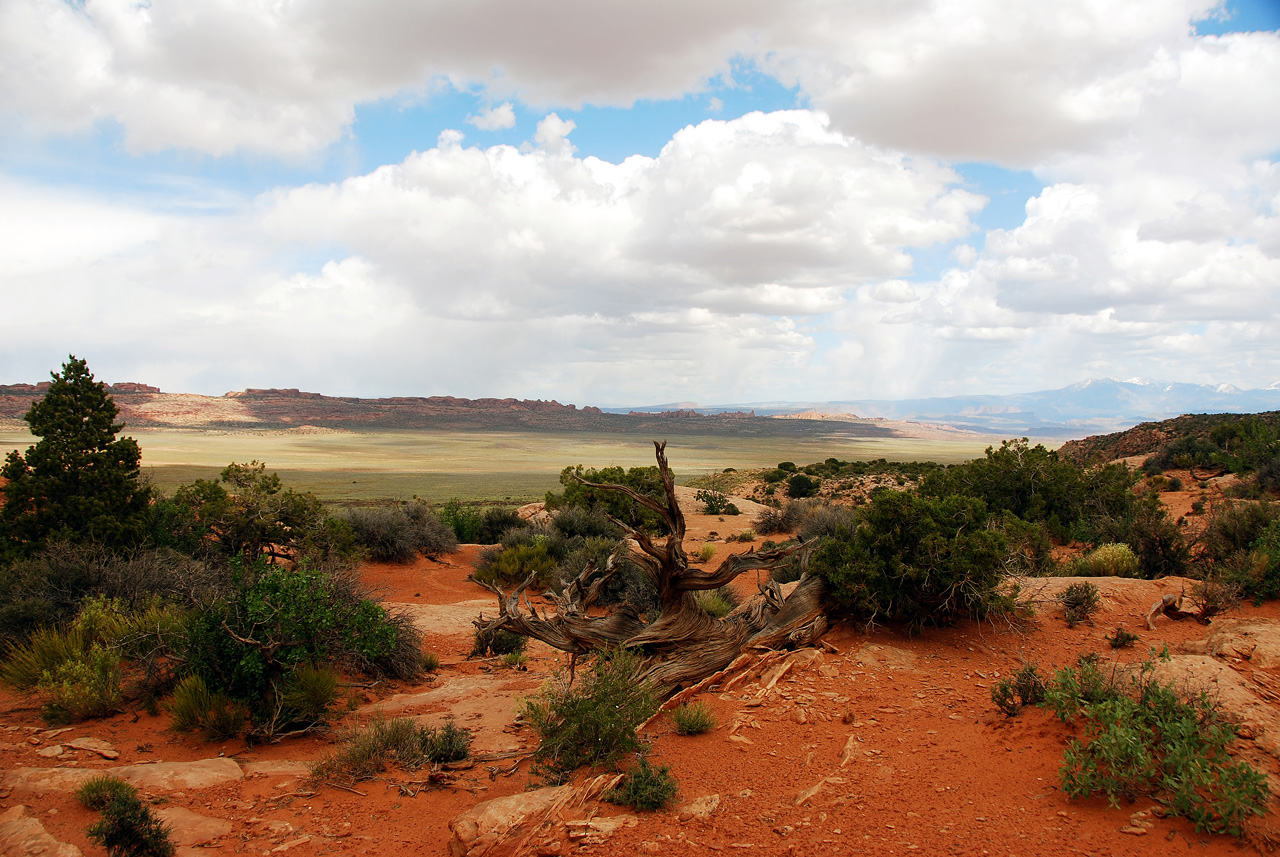 2013-05-19, 148, Tower Arch Trail, Arches NP, UT