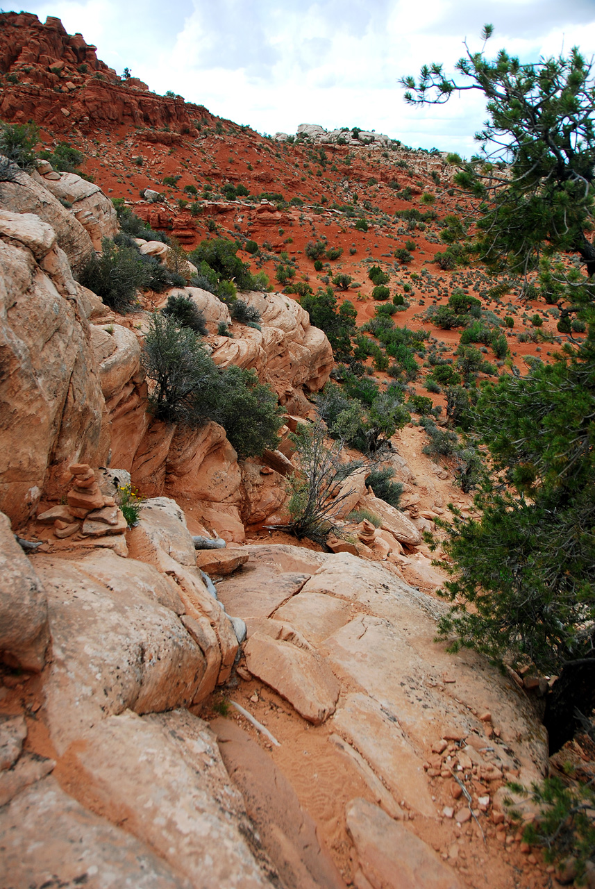 2013-05-19, 155, Tower Arch Trail, Arches NP, UT