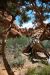 2013-05-19, 044, Fiery Furnace, Arches NP, UT