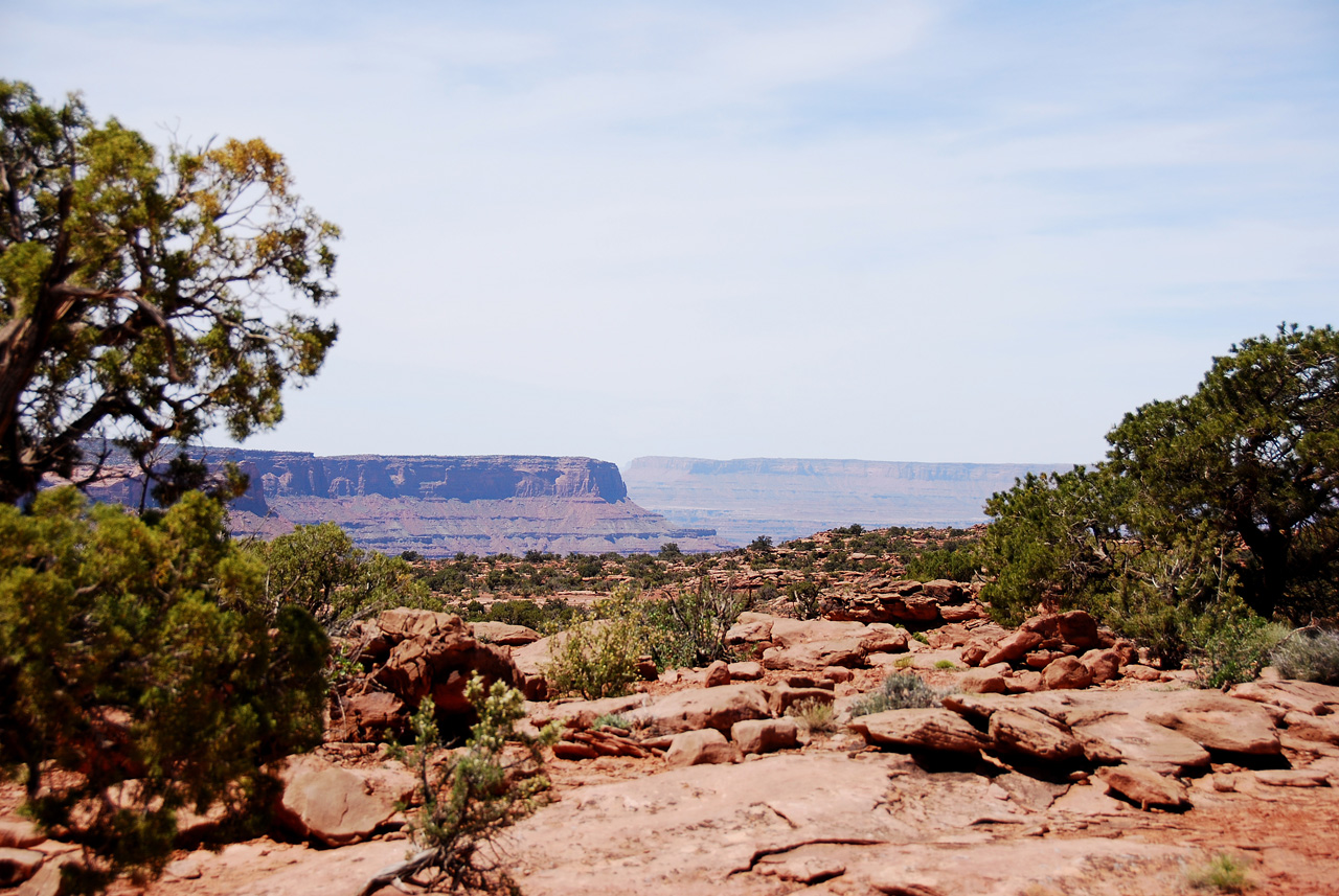 2013-05-24, 072, Anticline Overlook, Canyon Rims NF, UT
