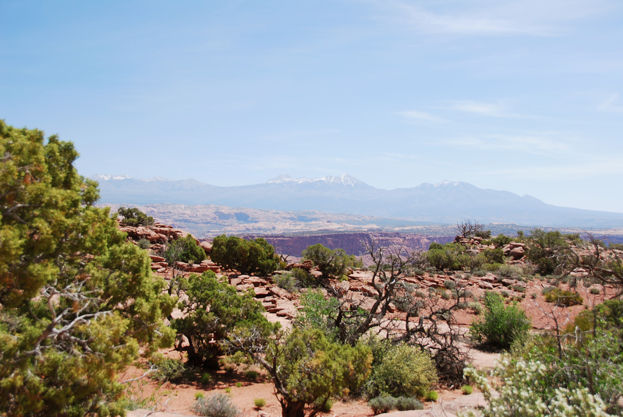 2013-05-24, 075, Anticline Overlook, Canyon Rims NF, UT