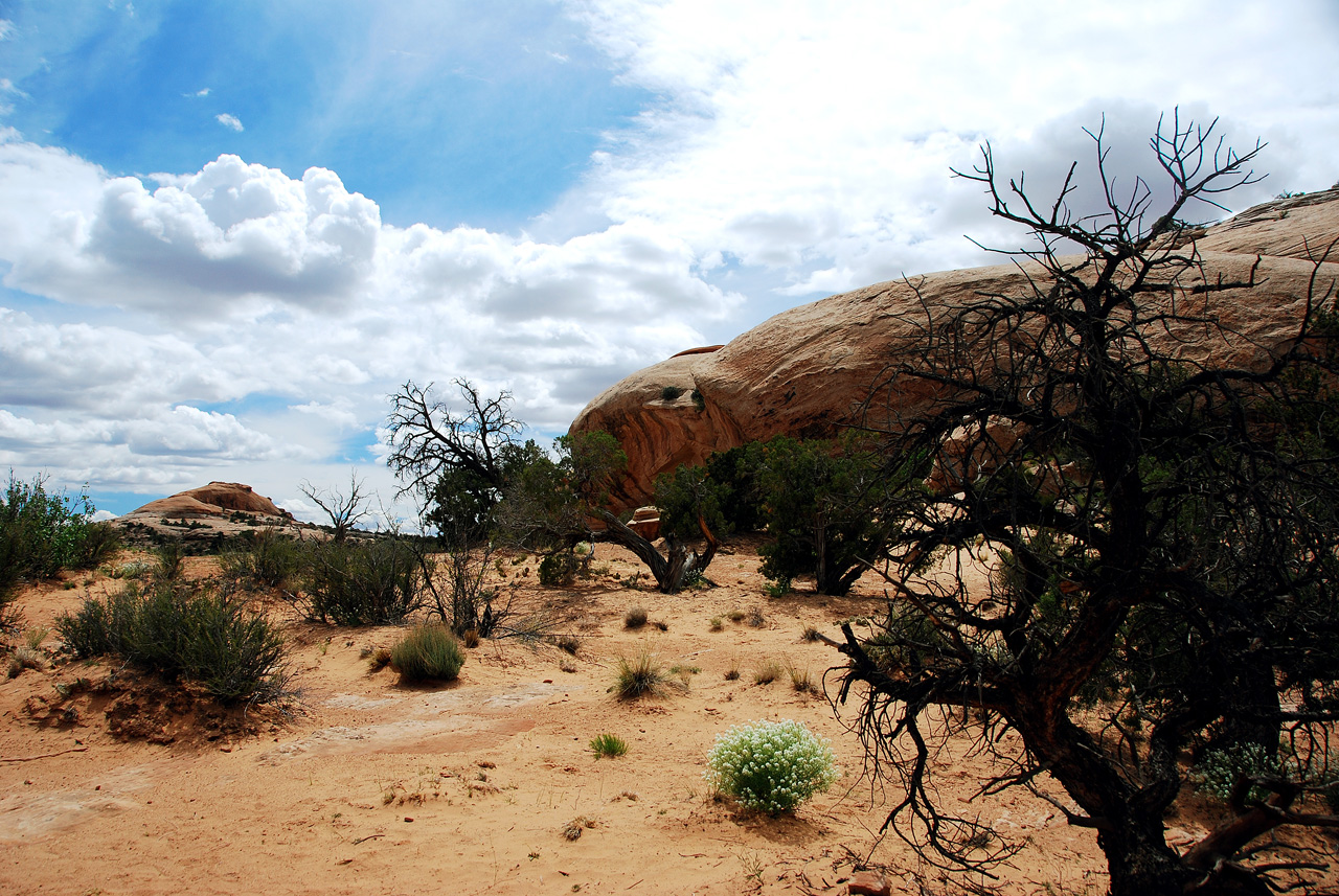 2013-05-21, 007, Monior & Merrimac, Canyonlands, UT