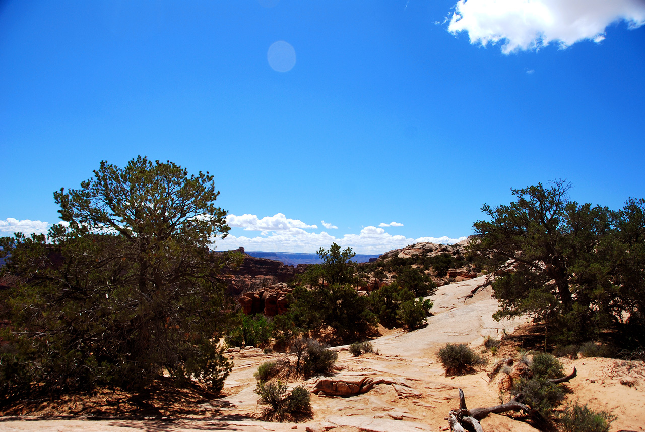 2013-05-21, 020, Shafer Canyon, Canyonlands, UT