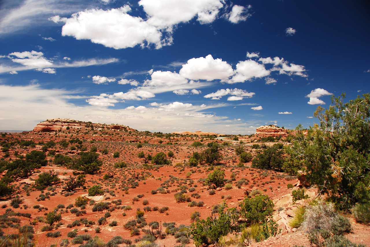 2013-05-21, 103, Aztec Butte, Canyonlands, UT