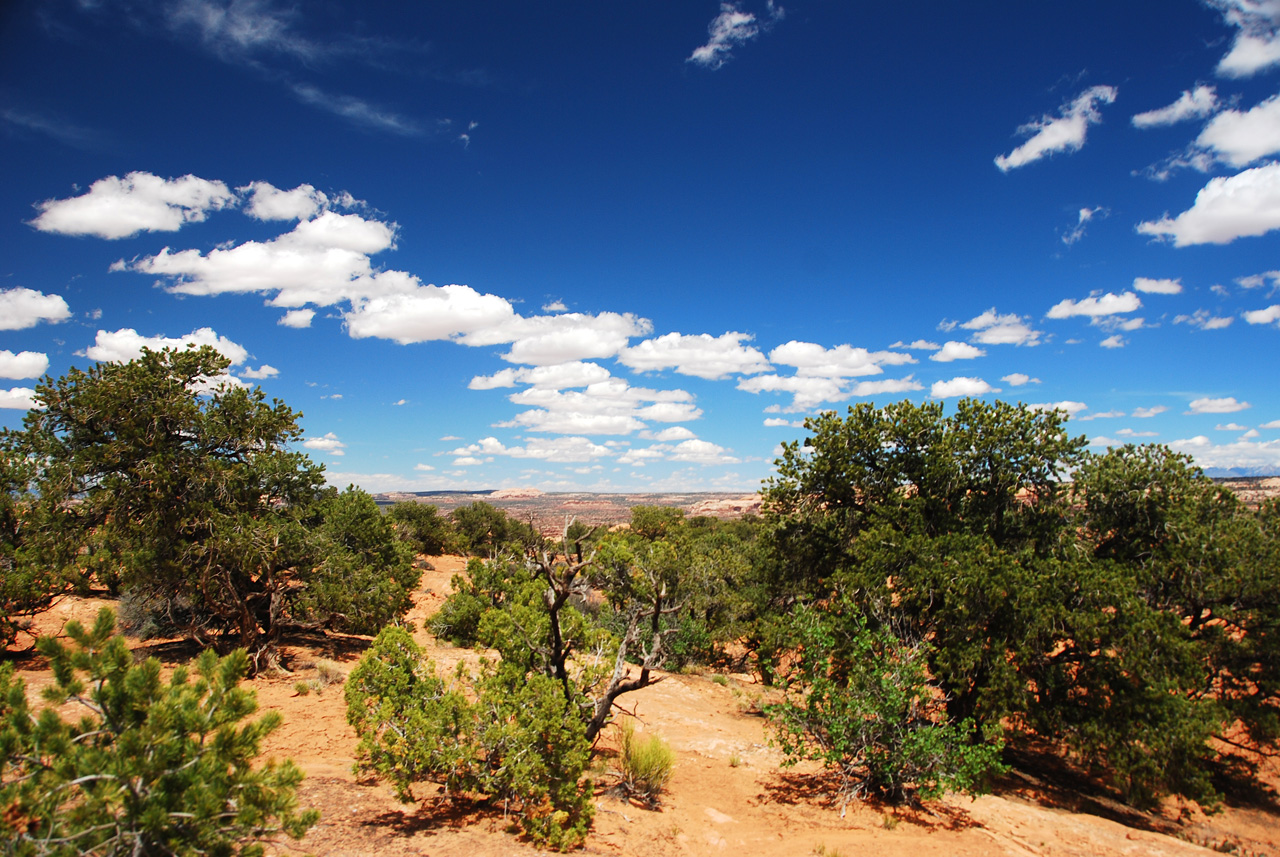 2013-05-21, 114, Whale Rock, Canyonlands, UT