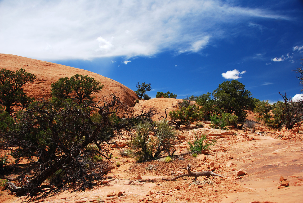2013-05-21, 130, Whale Rock, Canyonlands, UT