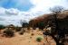 2013-05-21, 007, Monior & Merrimac, Canyonlands, UT