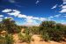 2013-05-21, 114, Whale Rock, Canyonlands, UT