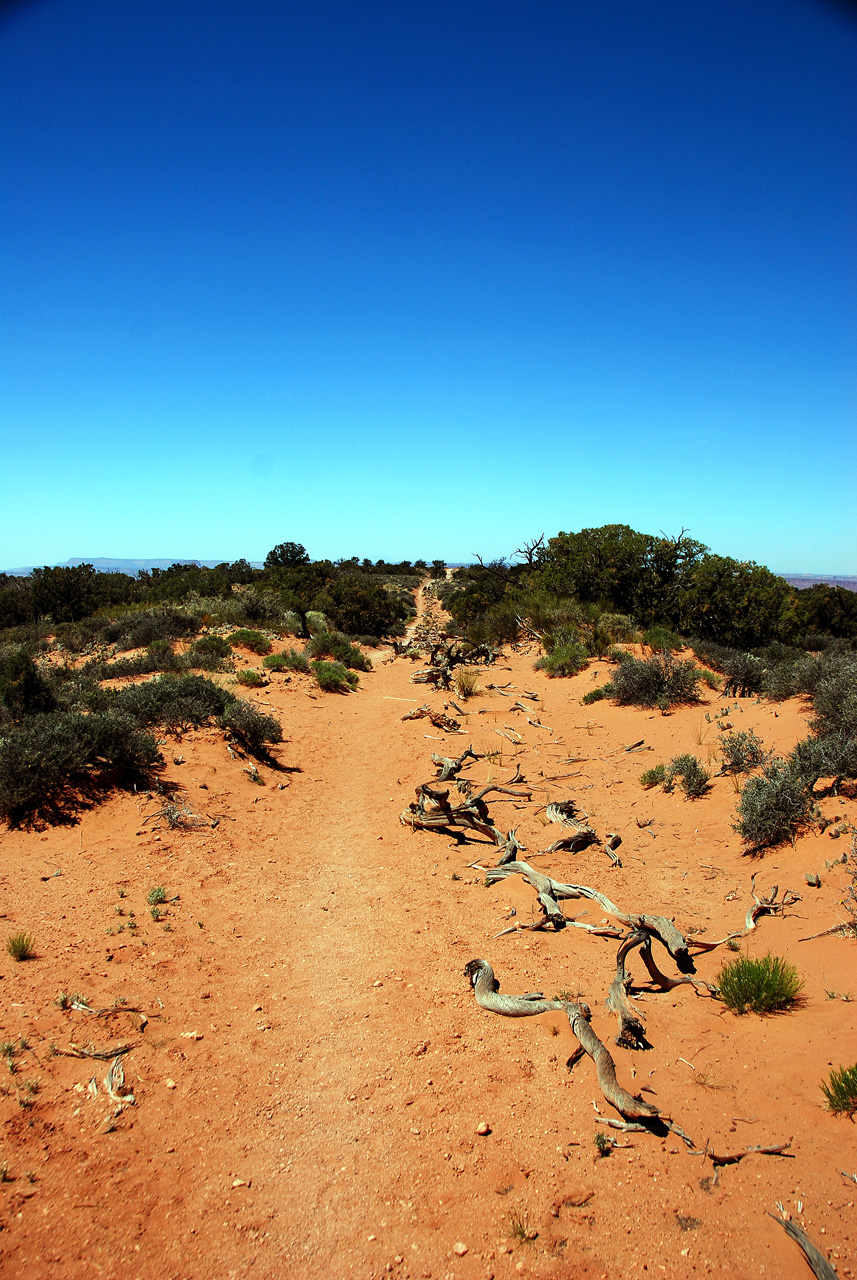 2013-05-23, 007, Murphy Point Trail,  Canyonlands NP, UT