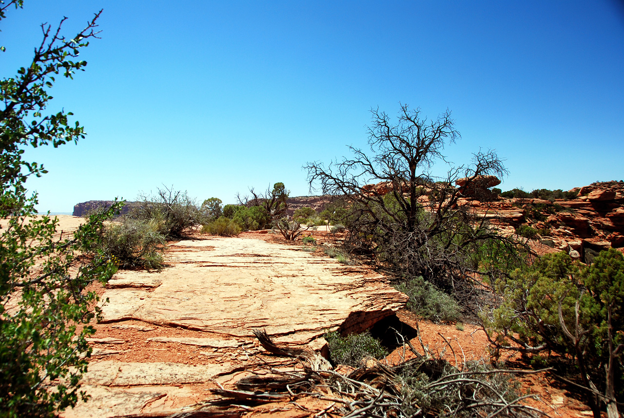 2013-05-23, 070, White Rim Trail, Canyonlands NP, UT