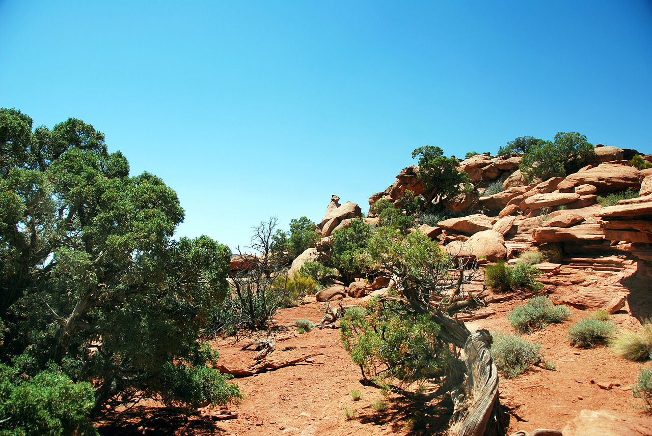 2013-05-23, 076, White Rim Trail, Canyonlands NP, UT
