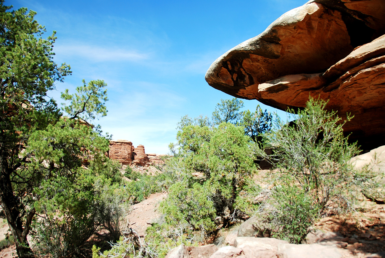 2013-05-24, 051, Elephant Hill Trail, Canyonlands NP, UT