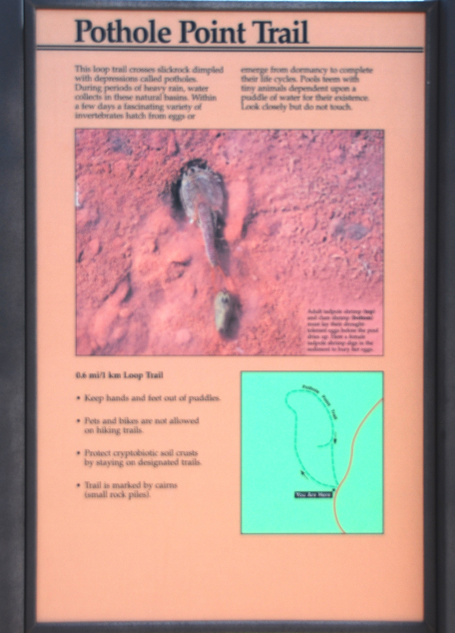 2013-05-24, 060, Pothole Point Trail, Canyonlands NP, UT