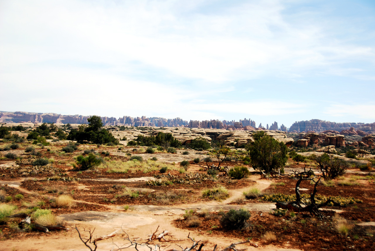 2013-05-24, 062, Pothole Point Trail, Canyonlands NP, UT