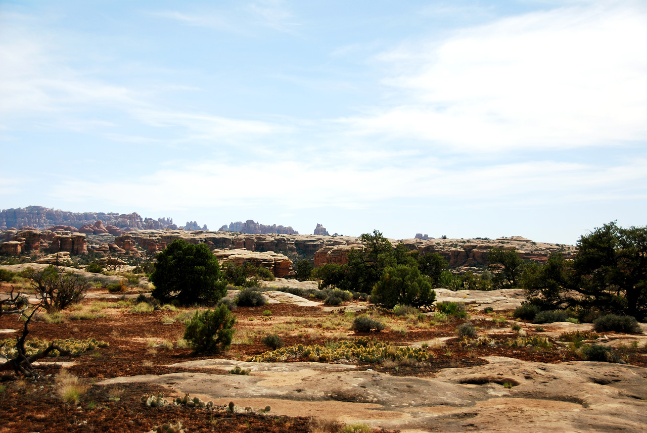2013-05-24, 063, Pothole Point Trail, Canyonlands NP, UT