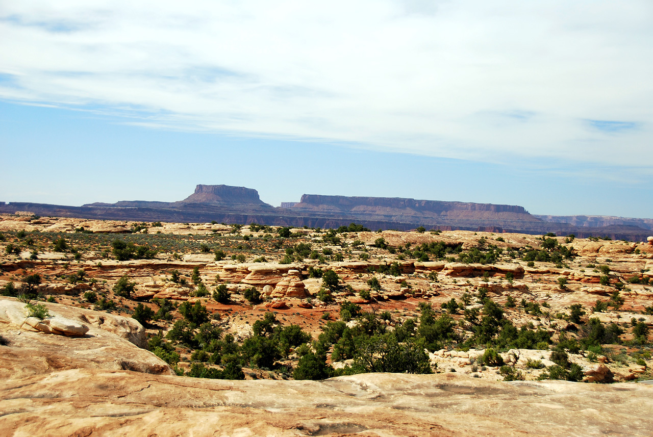 2013-05-24, 074, Pothole Point Trail, Canyonlands NP, UT