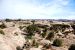 2013-05-24, 069, Pothole Point Trail, Canyonlands NP, UT