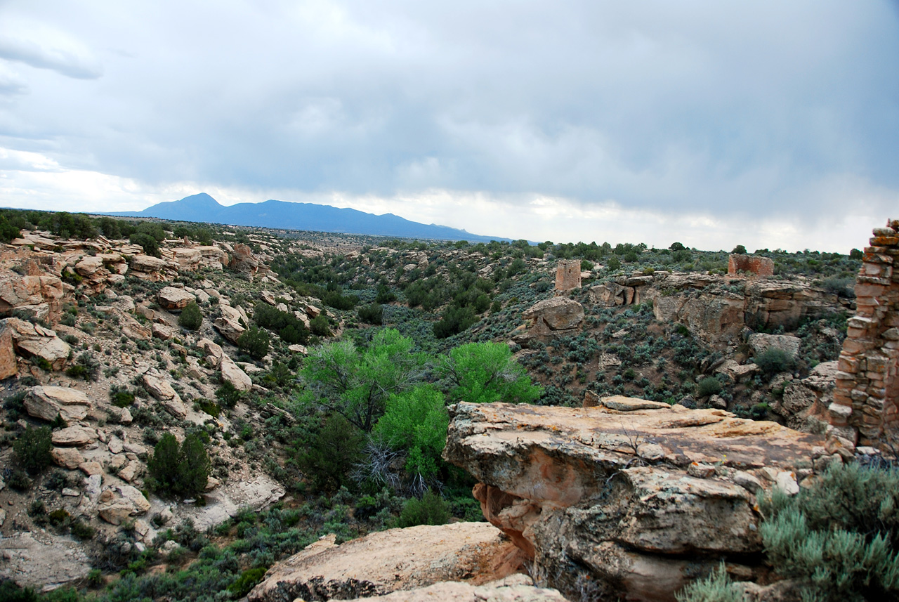 2013-06-03, 035, Canyon, Hovenweep NM, UT