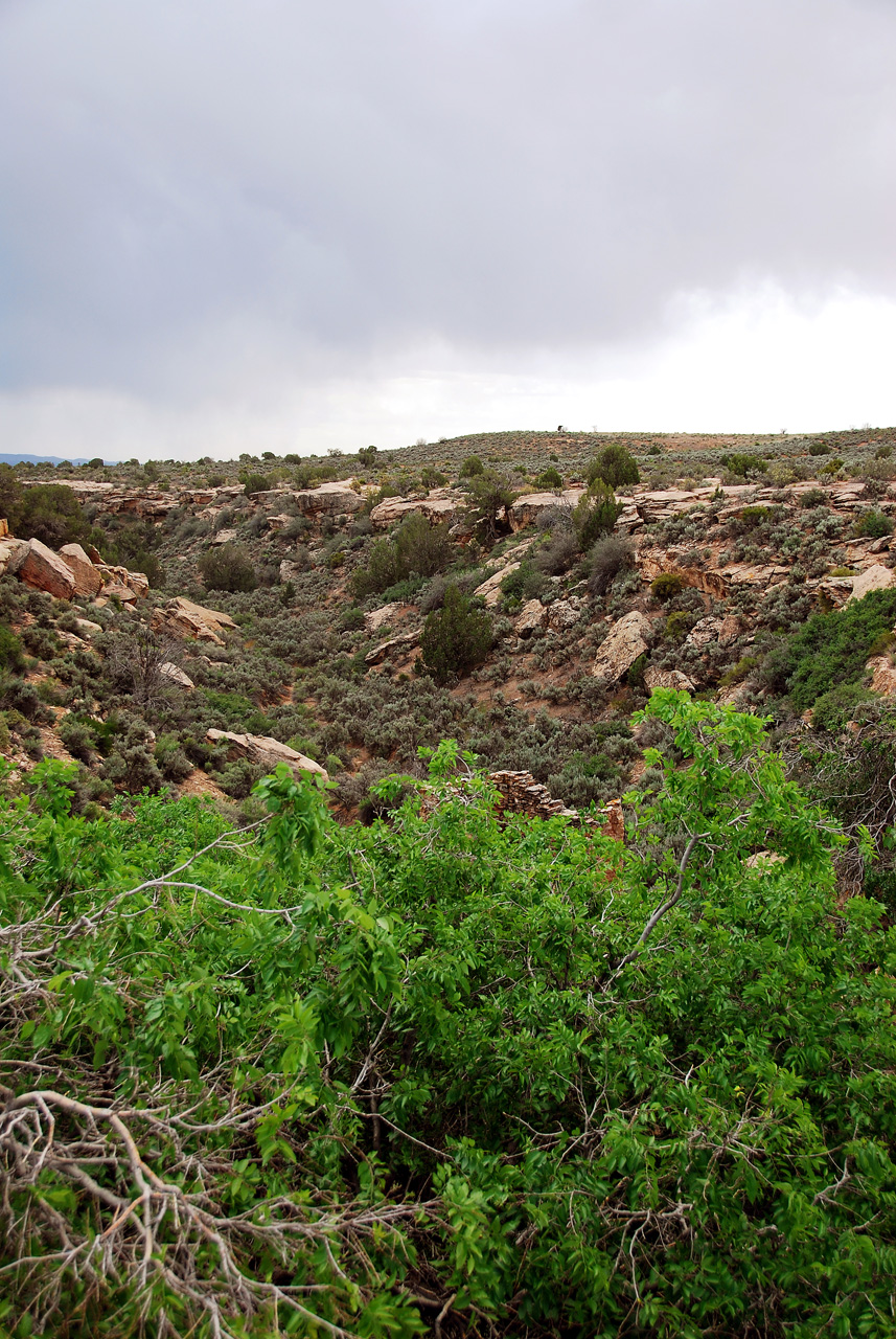 2013-06-03, 049, Canyon, Hovenweep NM, UT