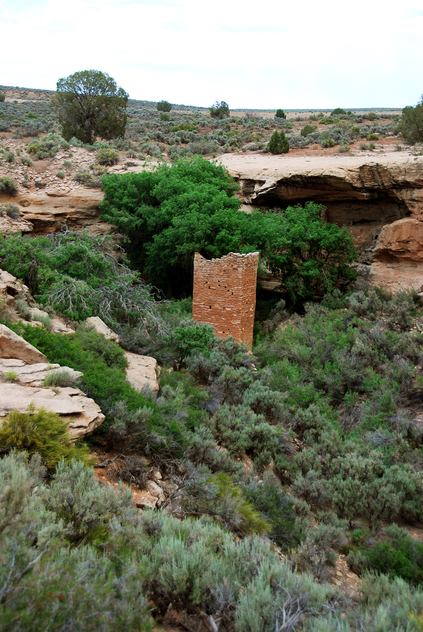 2013-06-03, 055, Square Tower, Hovenweep NM, UT