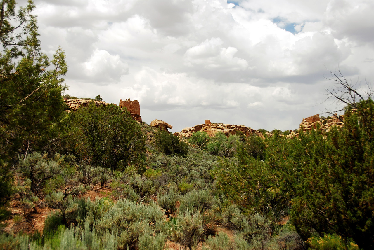 2013-06-03, 077, Canyon Base, Hovenweep NM, UT