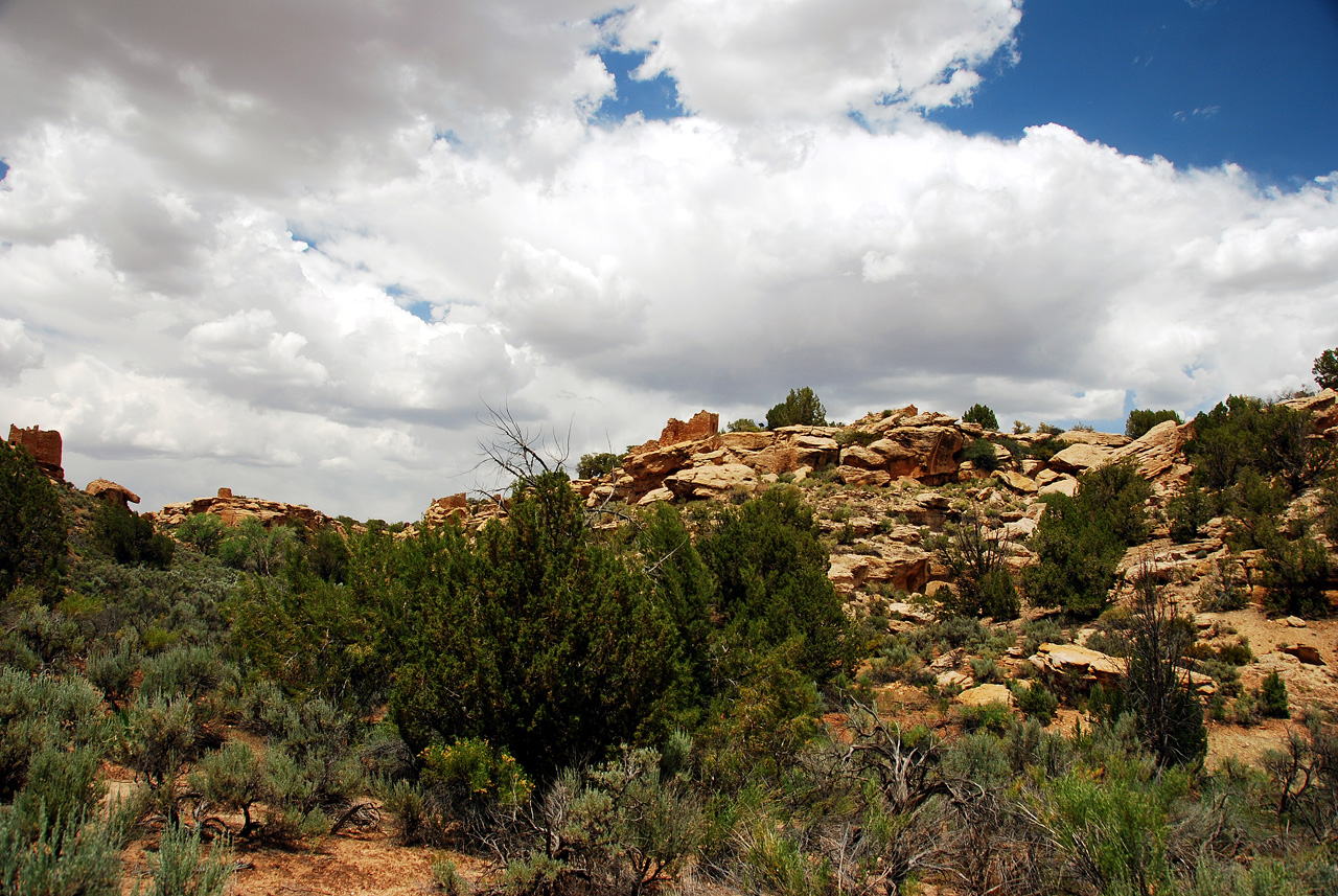 2013-06-03, 078, Canyon Base, Hovenweep NM, UT