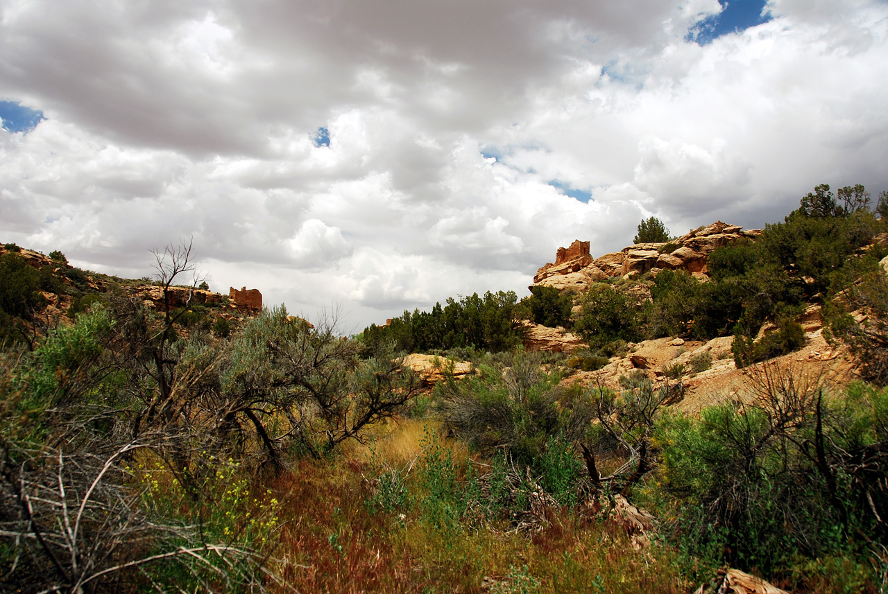 2013-06-03, 079, Canyon Base, Hovenweep NM, UT