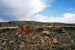 2013-06-03, 015, Twin Towers, Hovenweep NM, UT