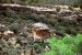 2013-06-03, 017, Hovenweep NM, UT