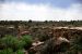 2013-06-03, 029, Twin Towers, Hovenweep NM, UT