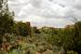 2013-06-03, 077, Canyon Base, Hovenweep NM, UT