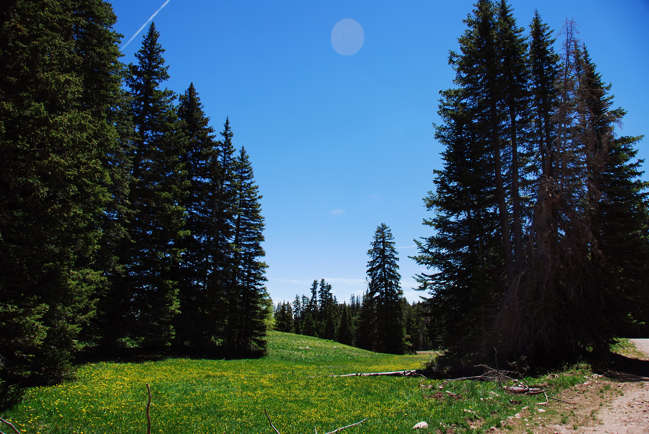 2013-06-12, 006, Finely I Cross the 'La Sal' Mts