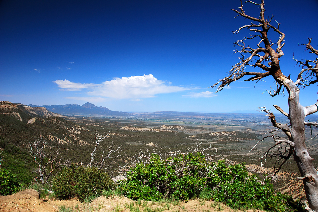 2013-06-05, 012, Knife Edge Rd, Mesa Verde NP, CO