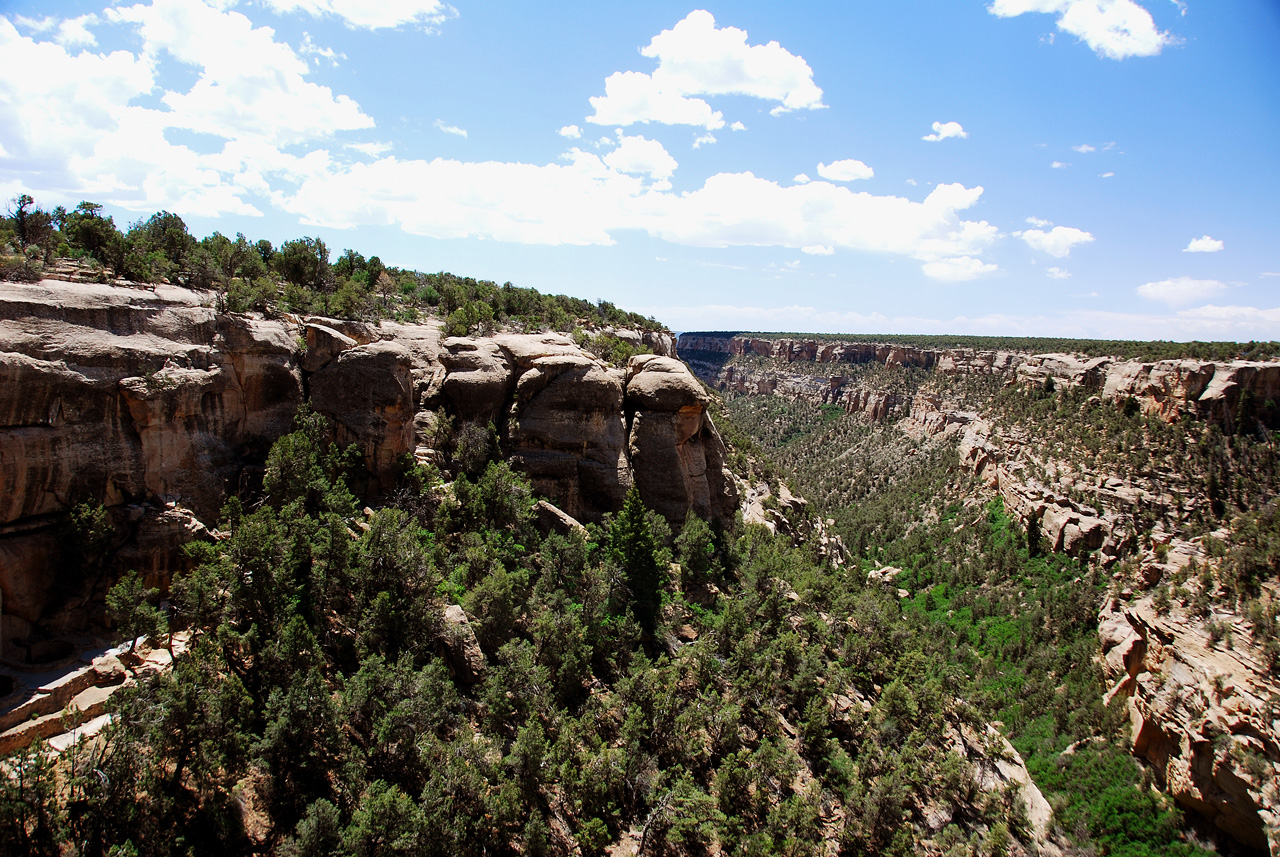 2013-06-05, 051, Cliff Palace, Mesa Verde NP, CO