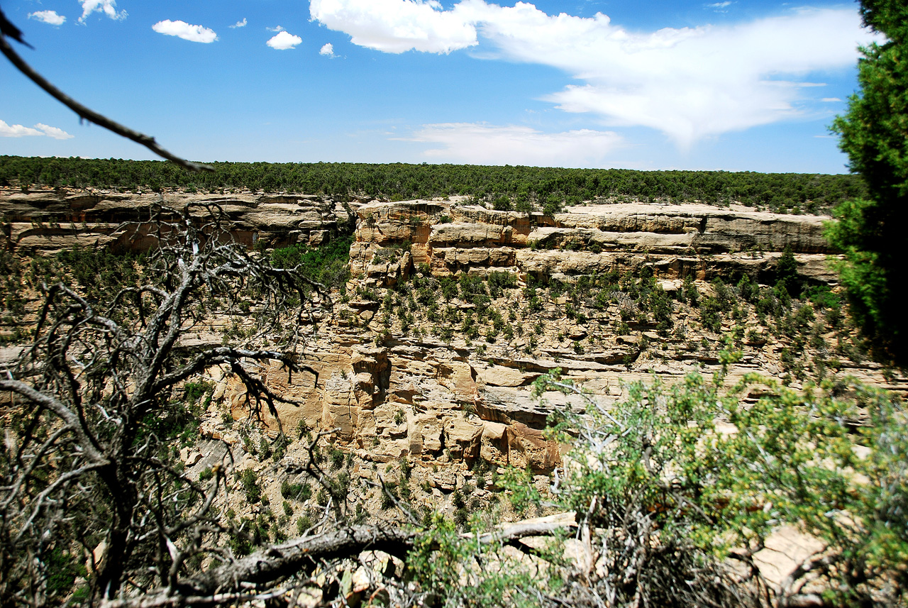 2013-06-05, 059, House of Many Windows, Mesa Verde NP, CO
