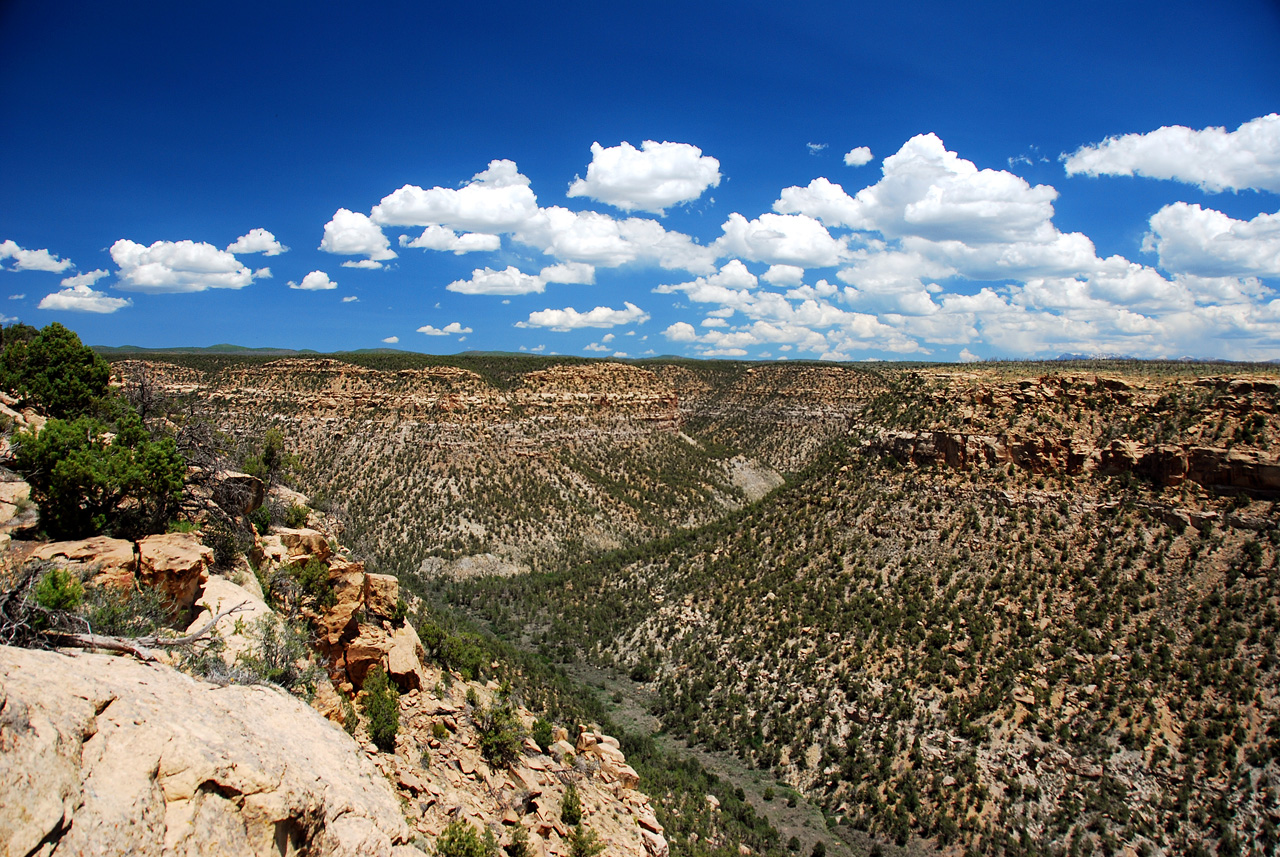 2013-06-05, 075, Soda Canyon, Mesa Verde NP, CO